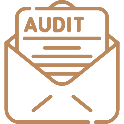 External Audit Services